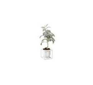Kubus Flowerpot 10, white